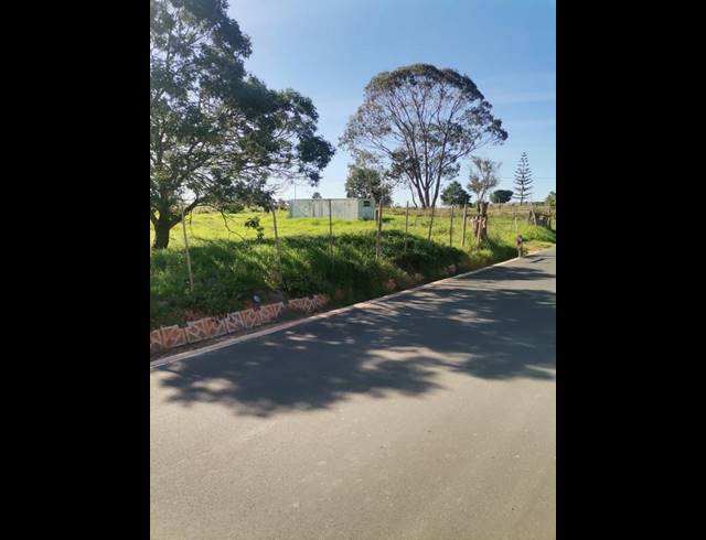 LAND FOR SALE IN ALBERTINIA